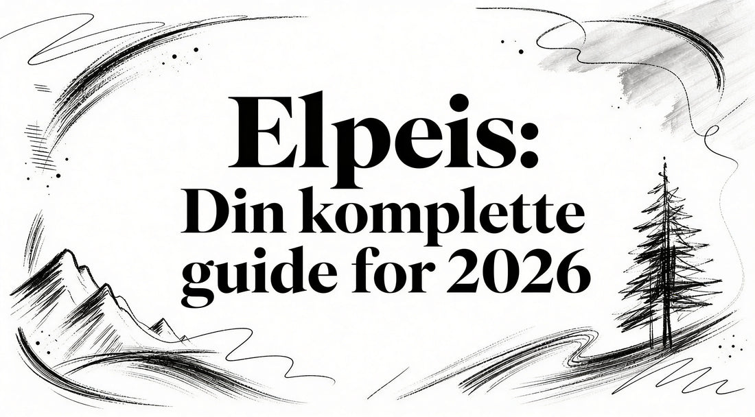 El peis: Din komplette guide for 2026 Ardente Brands: Planika Fires