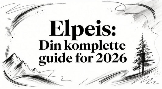 El peis: Din komplette guide for 2026 Ardente Brands: Planika Fires